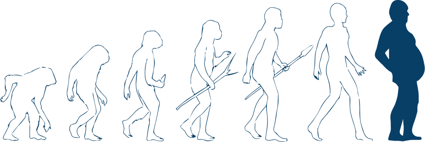BFM-illustration-evolution-min